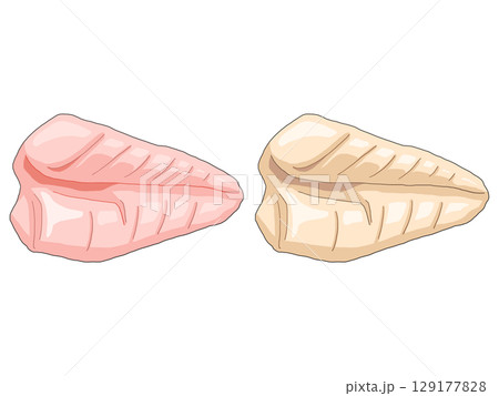 生の鶏むね肉と焼いた鶏むね肉のイラスト 129177828