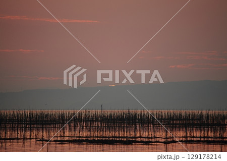 大牟田市 有明海 海苔畑、 大牟田市 有明海 海苔畑、 129178214