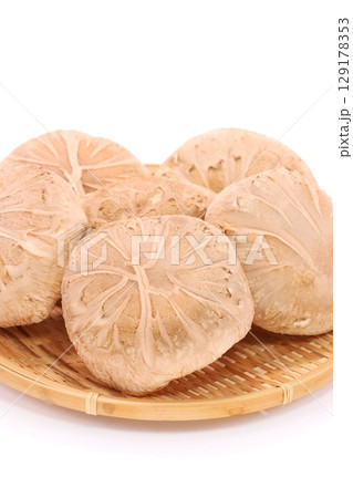 しいたけ　生どんこ　大きい　食材 129178353