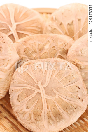 しいたけ　生どんこ　大きい　食材 129178355