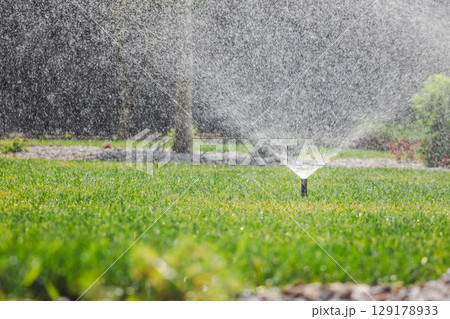 Lawn sprinkler spraying water in a landscaped backyard on a sunny day, with water droplets visible in the air 129178933