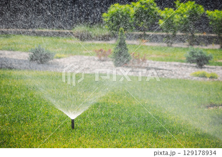 Automatic garden sprinkler sprays fine water mist over green grass on a sunny day in a landscaped backyard with decorative plants 129178934