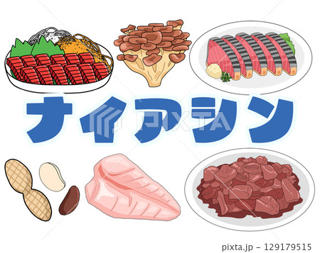 ナイアシンのイメージイラスト（日本語）（背景なし） 129179515