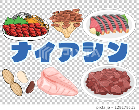 ナイアシンのイメージイラスト（日本語）（背景なし） 129179515