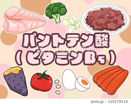 パントテン酸のイメージイラスト(日本語)(背景あり) パントテン酸のイメージイラスト(日本語)(背景あり) 129179518