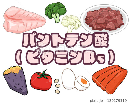 パントテン酸のイメージイラスト(日本語)(背景なし) パントテン酸のイメージイラスト(日本語)(背景なし) 129179519