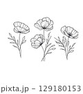 hand drawn flower ink sketch isolated on white 129180153