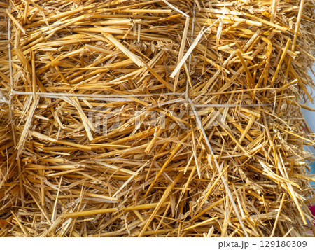 Hay background. Straw blocks. Heap of dry grass. Animal food. Hayloft.Harvesting. Hay background. Straw blocks. Heap of dry grass. Animal food. Hayloft.Harvesting. 129180309