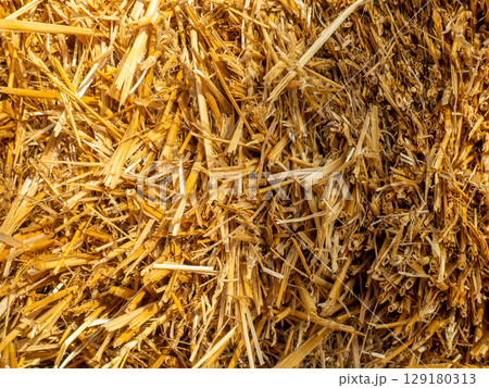Hay background. Straw blocks. Heap of dry grass. Animal food.  Rural life concept Hay background. Straw blocks. Heap of dry grass. Animal food.  Rural life concept 129180313