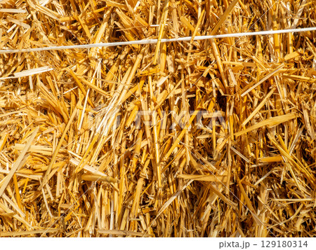 Hay background. Straw blocks. Heap of dry grass. Animal food. Hayloft.Harvesting. Hay background. Straw blocks. Heap of dry grass. Animal food. Hayloft.Harvesting. 129180314