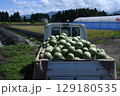 尾花沢のスイカ 129180535