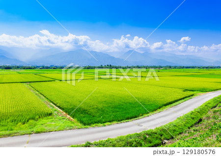 夏の信州 安曇野の田園風景 夏の信州 安曇野の田園風景 129180576