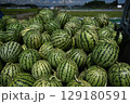 尾花沢のスイカ 129180591