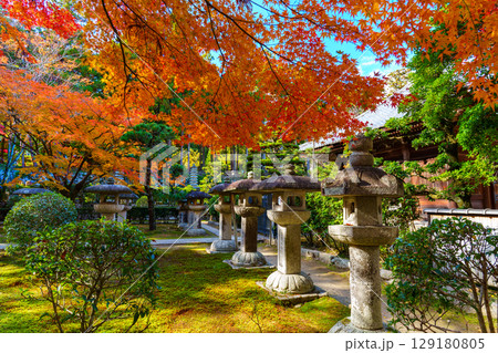紅葉に包まれた慈眼堂 紅葉に包まれた慈眼堂 129180805