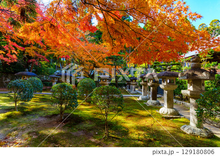 紅葉に包まれた慈眼堂 紅葉に包まれた慈眼堂 129180806