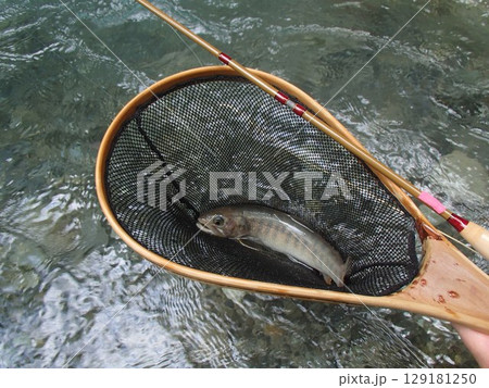 雲の上の妖精 雲の上の妖精 129181250