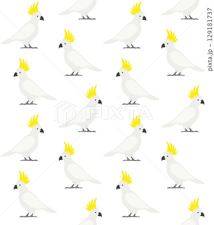 Vector seamless pattern of flat cockatoo parrot 129181737