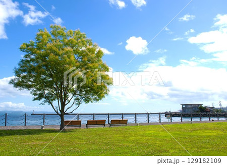 大分県 「かんたん港園」で撮影 大分県 「かんたん港園」で撮影 129182109