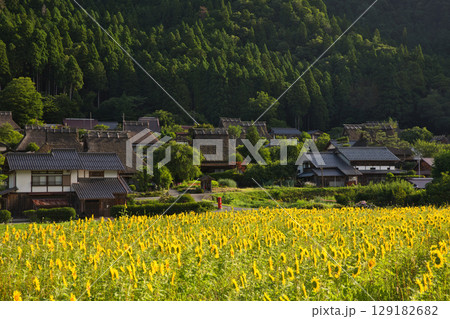 山の京都 美山かやぶきの里とひまわり畑36 山の京都 美山かやぶきの里とひまわり畑36 129182682