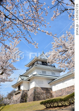 長岡城の桜 長岡城の桜 129182726