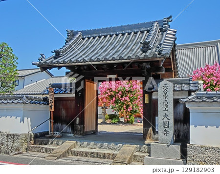 城下町津山の西寺町を東西に走る旧出雲街道に面して建つ「大圓寺」：百日紅の咲く頃 129182903