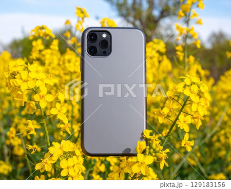 菜の花畑と春のスマホケースモックアップ 129183156