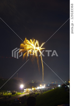 豊田おいでんまつり花火大会 129183368