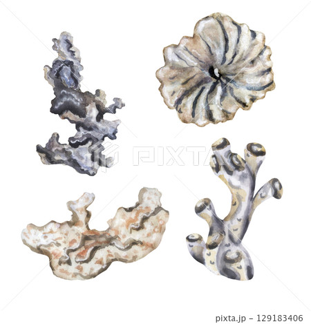 Coral reef set in monochrome watercolor Coral reef set in monochrome watercolor 129183406
