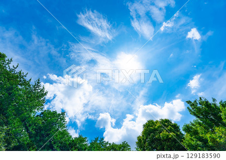 青空と雲と太陽と木立 129183590