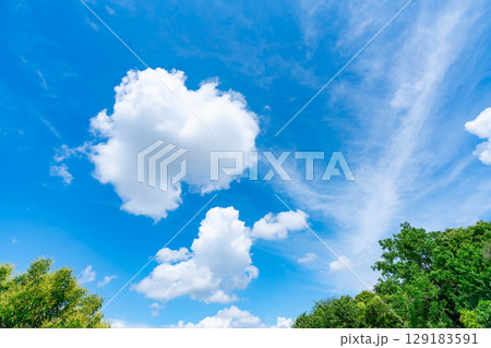 青空と雲と木立 129183591