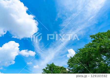 青空と雲と木立 129183592