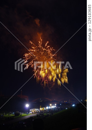 豊田おいでんまつり花火大会 129183685
