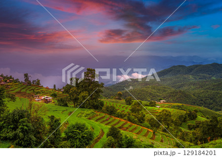 Rice terraces in rice fields on mountain at twilight. Rice terraces in rice fields on mountain at twilight. 129184201