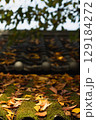秋の終わり 129184272