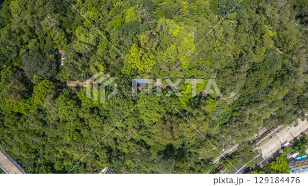 Aug 1 2025 Lush Green Belt Along Nam Shan Chuen Road 129184476