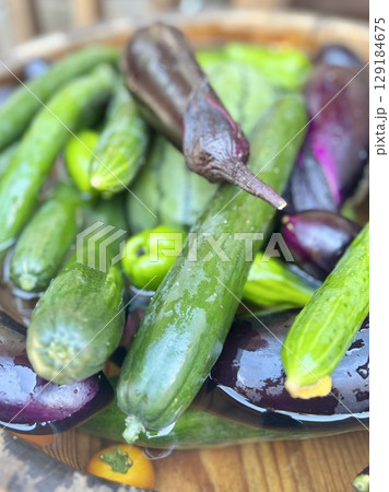 採れたて夏野菜 129184675