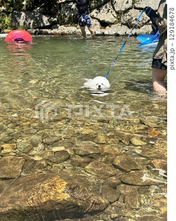 夏休みの川遊び 129184678