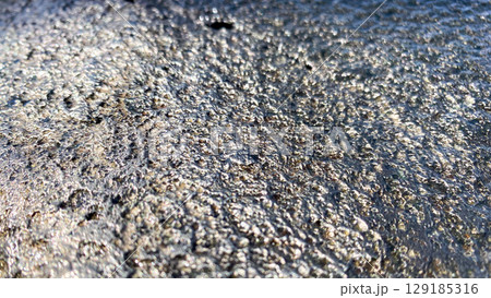 Rough, textured metallic surface with reflective highlights, perfect as an industrial background or abstract element. 129185316