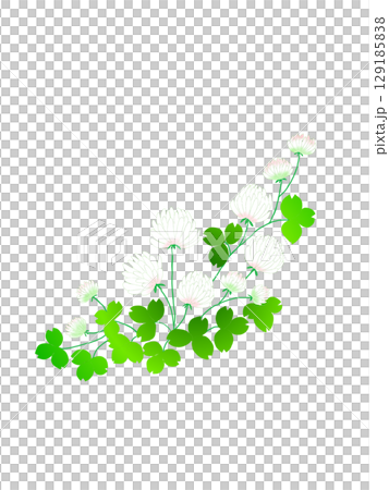 三葉草花束 129185838