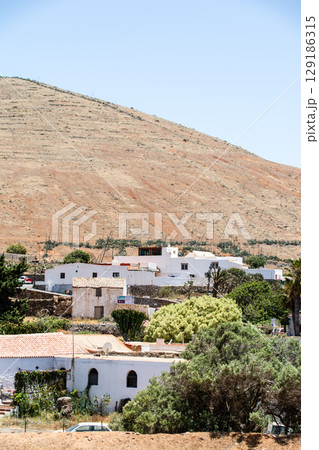 明るい日差しの中の白壁の建物と大きなヤシの木のある街並み　フエルテベンテュラ島のベタンクリアにて 129186315