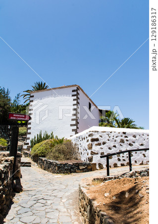 明るい日差しの中の白壁の建物と大きなヤシの木のある街並み　フエルテベンテュラ島のベタンクリアにて 129186317