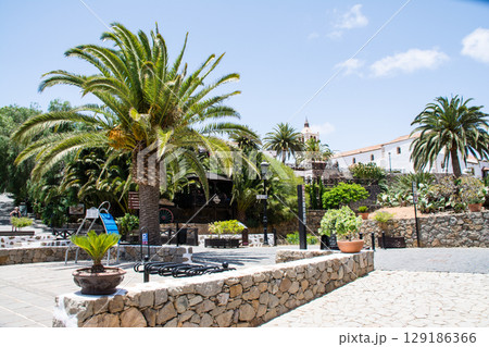 明るい日差しの中の白壁の建物と大きなヤシの木のある街並み フエルテベンテュラ島のベタンクリアにて 明るい日差しの中の白壁の建物と大きなヤシの木のある街並み フエルテベンテュラ島のベタンクリアにて 129186366