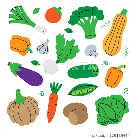 Fresh vegetables. Healthy eating. Carrot, tomato, garlic, mushroom, bell pepper, pumpkin, broccoli, cabbage, zucchini, onion, radish, eggplant. Fresh vegetables. Healthy eating. Carrot, tomato, garlic, mushroom, bell pepper, pumpkin, broccoli, cabbage, zucchini, onion, radish, eggplant. 129186444