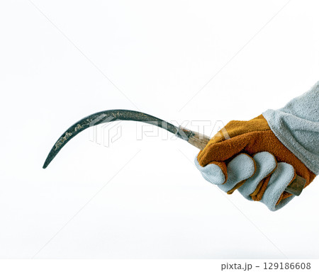 Leather gloved hand firmly grips curved sickle against plain background, showcasing tool used in agriculture Leather gloved hand firmly grips curved sickle against plain background, showcasing tool used in agriculture 129186608