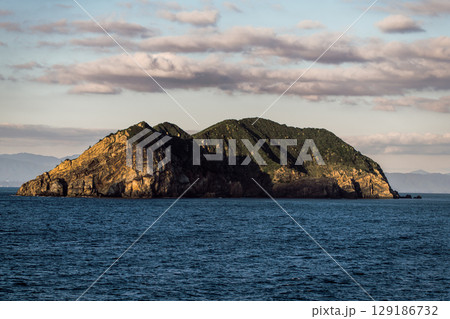 【東京九州フェリーはまゆう新門司行　高知県沖を航行　姫島】 129186732