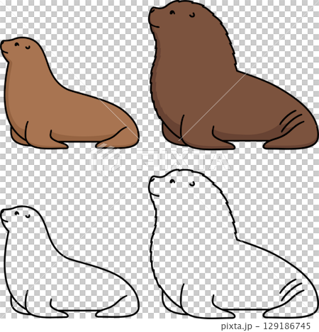 Male and female sea lion cartoon drawing 129186745