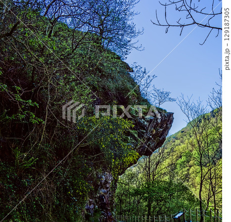 rocks with strange shapes (pig's head) 129187305