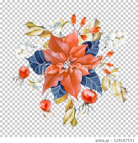 Christmas illustration with poinsettia, branches, leaves, rosehip and snowberry fruits. Festive composition in blue, red and ochre colors. Isolated on a white background. All the elements are painted Christmas illustration with poinsettia, branches, leaves, rosehip and snowberry fruits. Festive composition in blue, red and ochre colors. Isolated on a white background. All the elements are painted 129187531