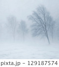 猛吹雪に覆われた冬の森林 厳しい雪嵐の自然現象 129187574
