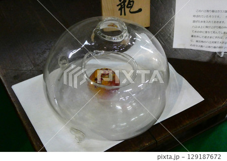 大正から昭和にかけて使われていたハエ取り瓶　アンテークとして今尚人気 129187672